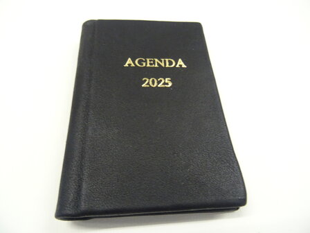 pocket diary 2025