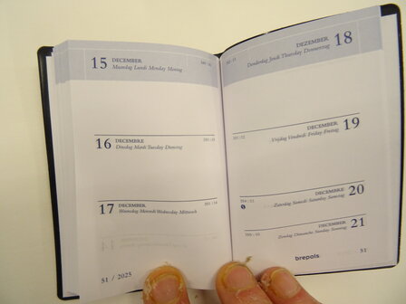 pocket diary 2025