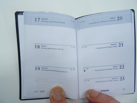 pocket diary 2025