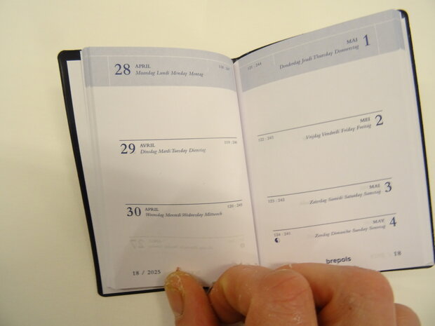 pocket diary 2025