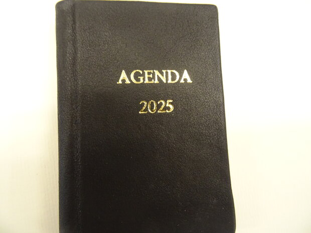 pocket diary 2025