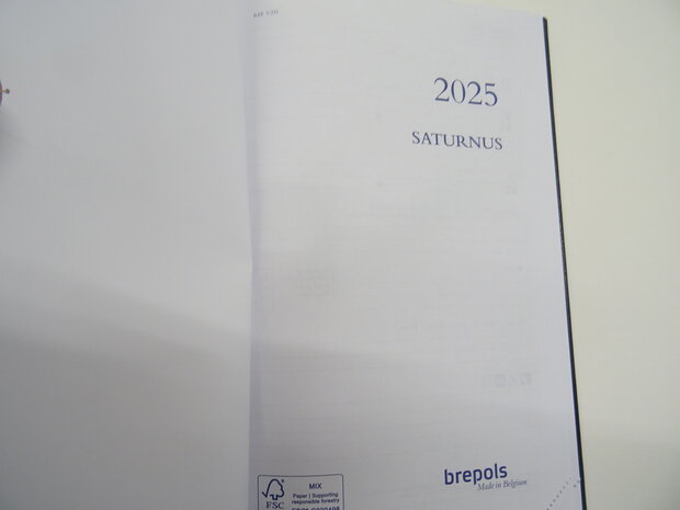 lederen buroagenda 2025